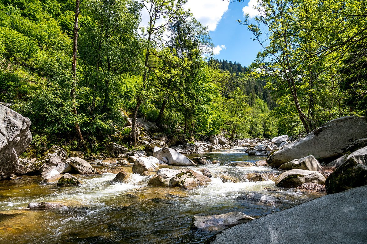 BNN Sommerrätsel - Alles im Fluss